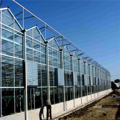 七洲 文洛连栋玻璃温室大棚工程造价