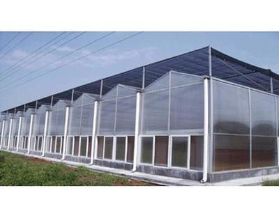 阳光板连栋温室用途,阳光板连栋温室厂家,阳光板温室降温措施