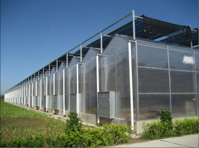 阳光板温室大棚建设必须要考虑哪些因素?
