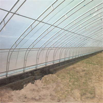 河北温室工程公司-日光大棚建造-农业蔬菜花卉种植