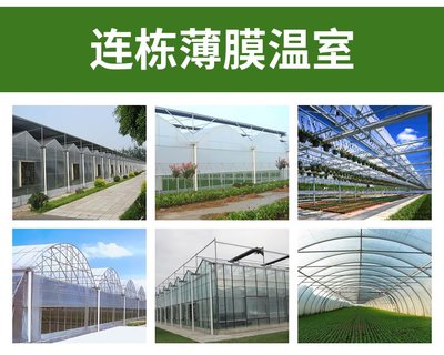 苏州太仓薄膜连栋大棚 温室大棚造价 阳光板温室 蔬菜大棚建造